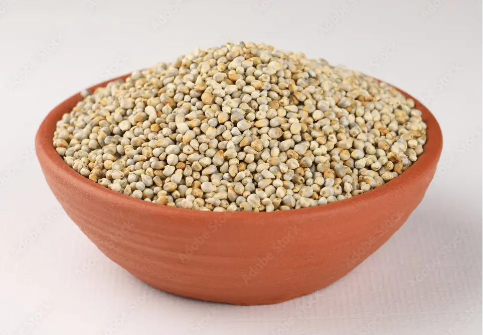 Pearl Millet