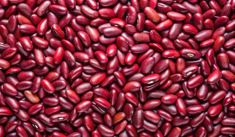 Kidney Beans